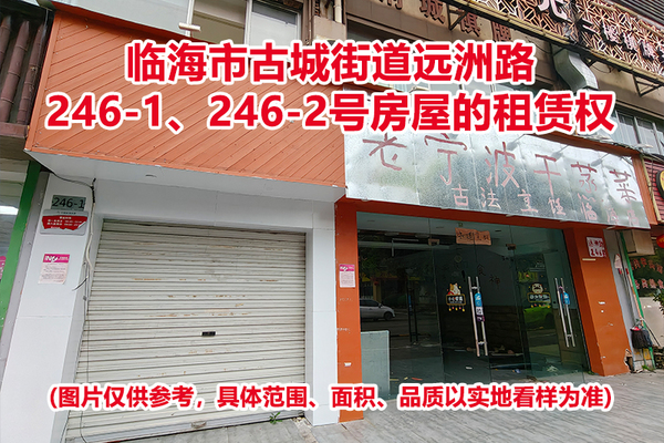 临海市古城街道远洲路246-1、246-2号房屋的租赁权